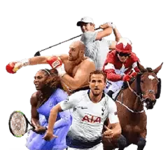 superking home sports